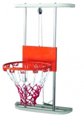 Rehabilitation Basketball Hoop