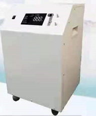  Medical Oxygen Concentrator(10 L）