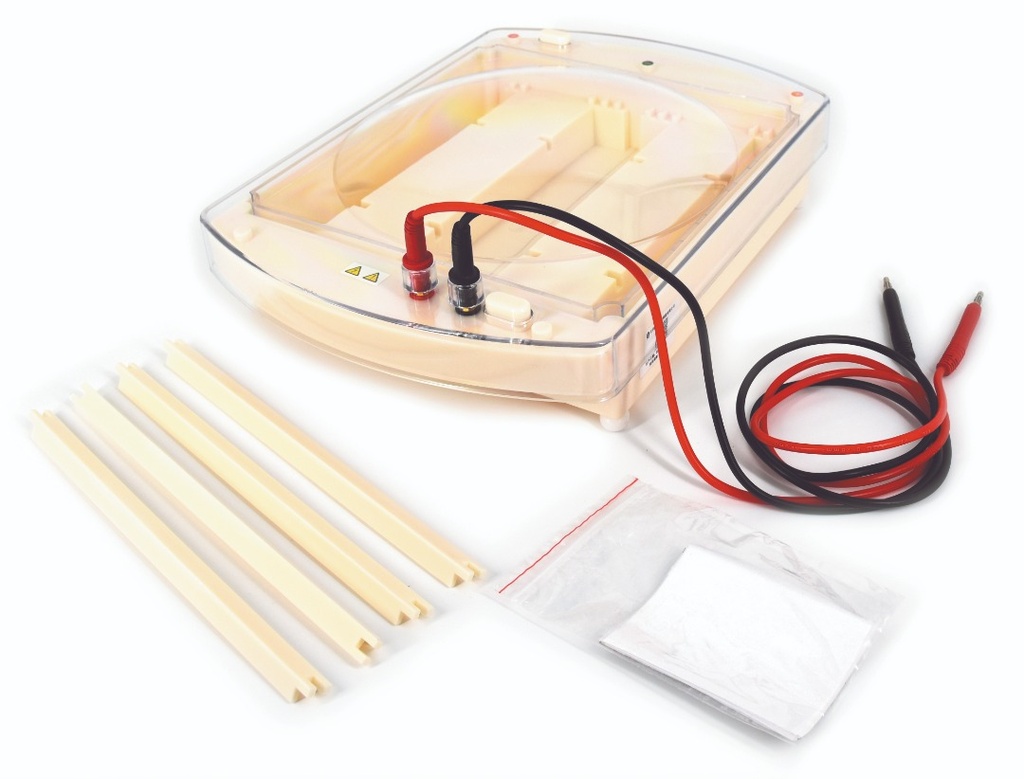 Hemoglobin electrophoresis