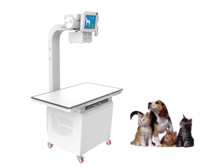 Equipo de radiografía veterinaria 400mA / DR