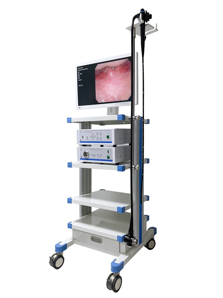 Sistema de videogastroscopio (videogastroscopio + monitor médico + fuente de luz + procesador de imágenes de video + carrito)