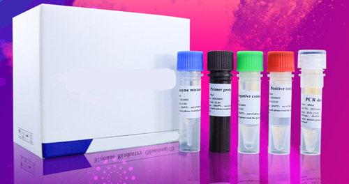 PCR Reagent (48tests per box )