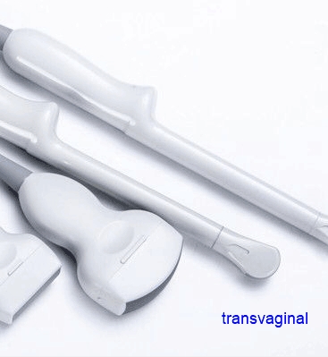 Transvaginal probe