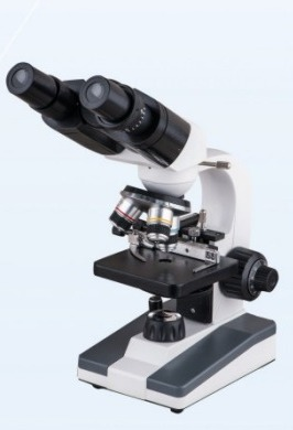 Microscope binoculaire