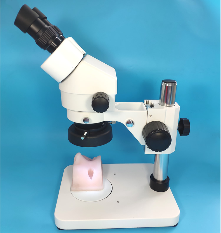 Simulador de entrenamiento de microcirugía de neurocirugía