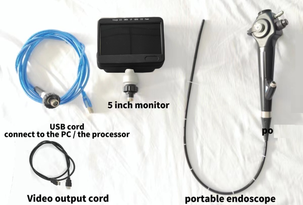 Portable Video Bronchoscope