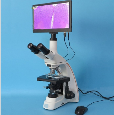 [CCM-SW4001] Trinocular infinity 
Biological Microscope 
with 12inch Touch Screen,CE model
(bright field)