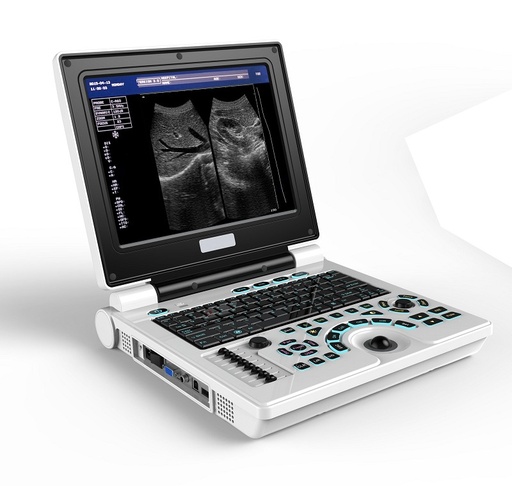 [CCBF30B] B&W Portable Ultrasound Scanner