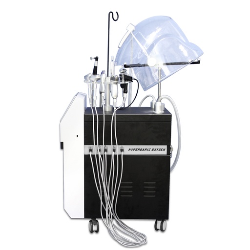 [CCQ-SPA608 PLUS] 13 in one, Mutlfuctional Facial Beauty Machine;   5L Oxygen therpay