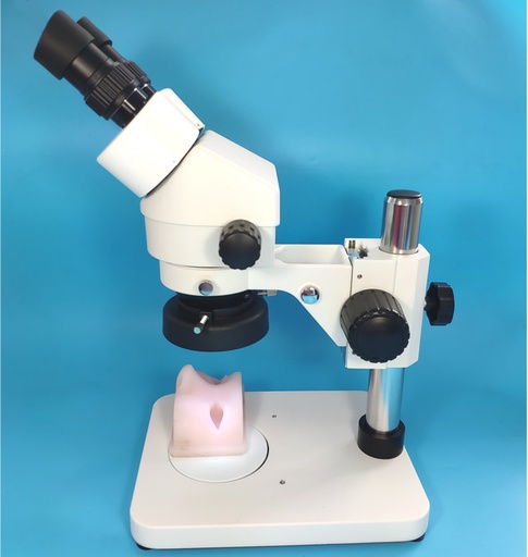 [CCL-955] Simulateur de formation en microchirurgie en neurochirurgie