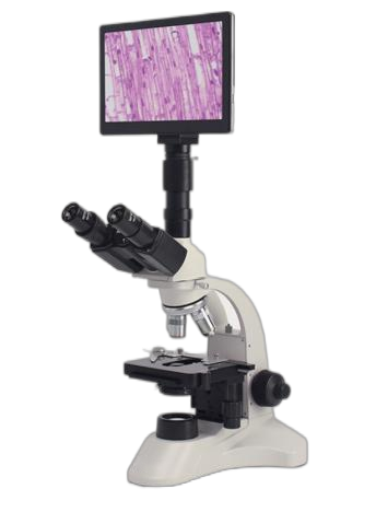 [CPH50-PB9] microscope trinoculaire avec écra