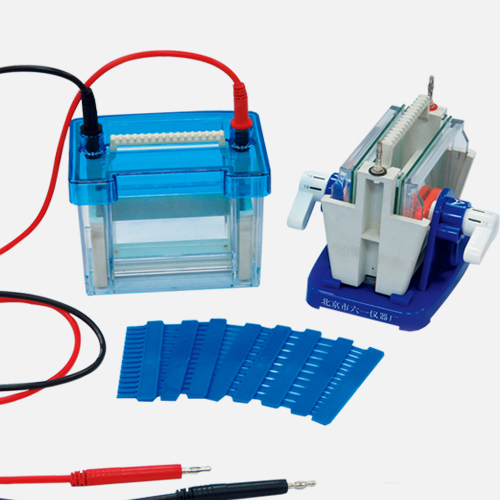 [CCL-DYCZ24DN] Electrophoresis Cell Tank